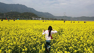 推動田園綜合體高質(zhì)量發(fā)展的幾點(diǎn)建議