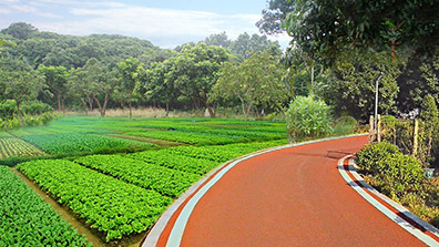 美環(huán)境，惠民生，繪就美麗圩鎮(zhèn)實景圖